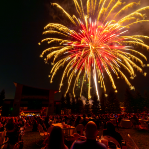 Red and yellow fireworks over lawn crowd